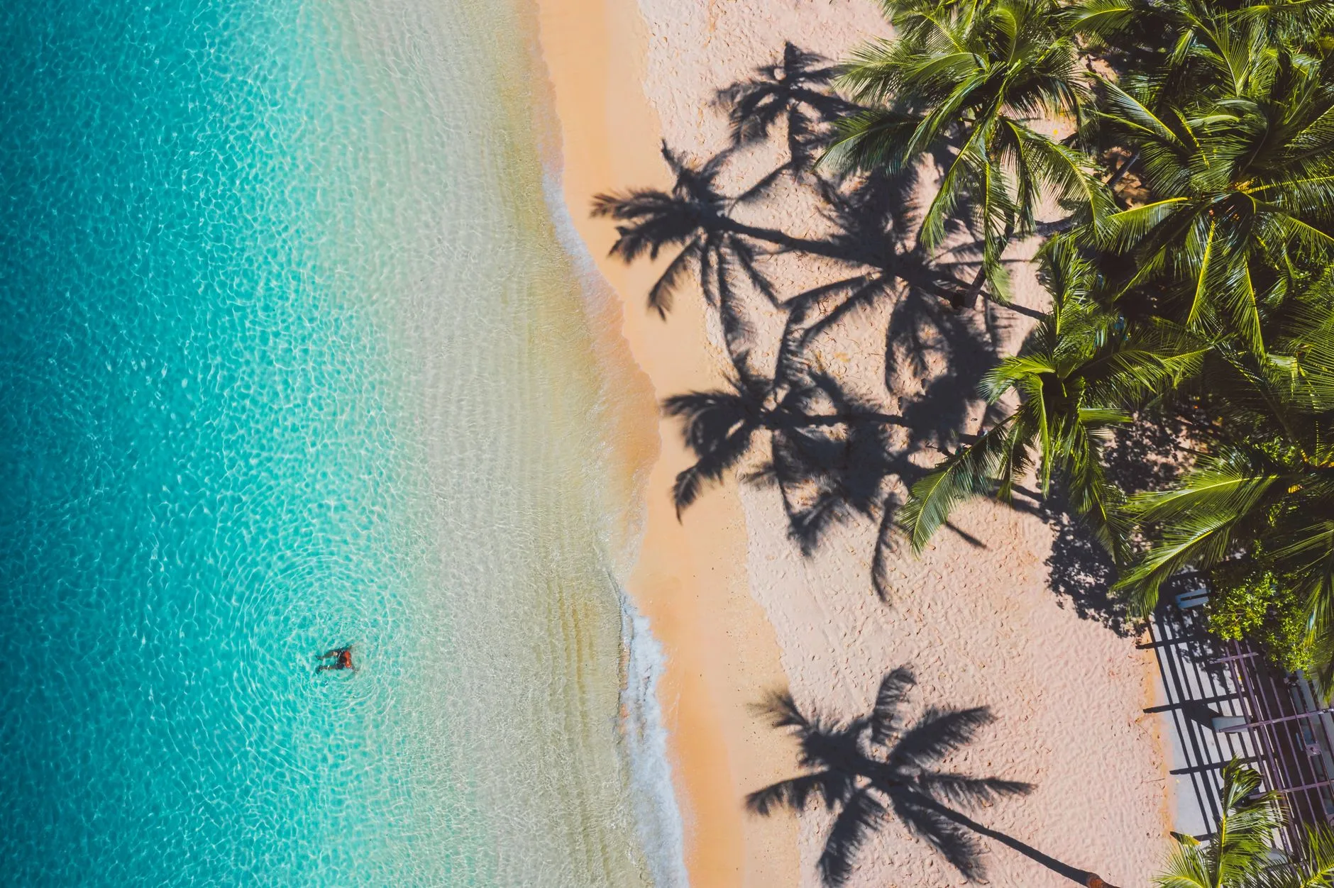 Le lagon de la côte Ouest : un trésor naturel exceptionnel