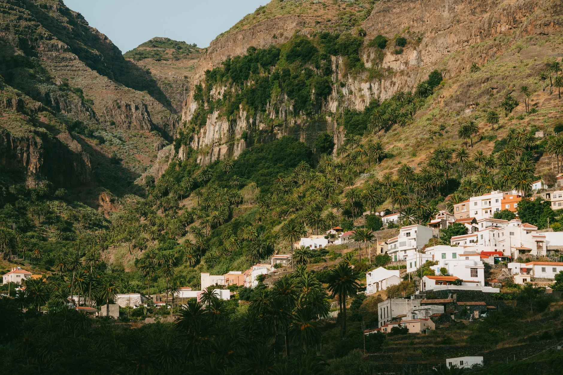 ️ Les marchés des hauts : Cilaos et les cirques