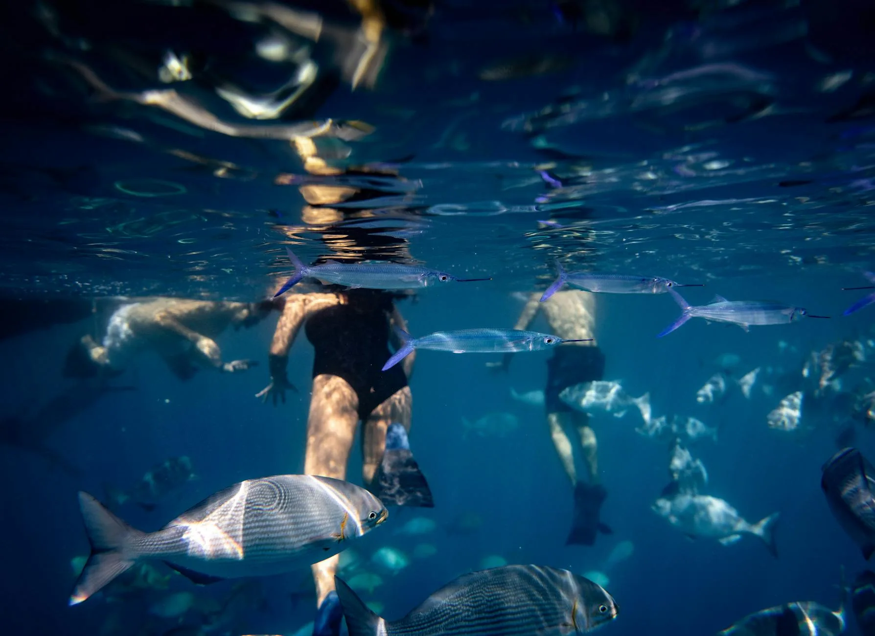 Le snorkeling : l'alternative accessible