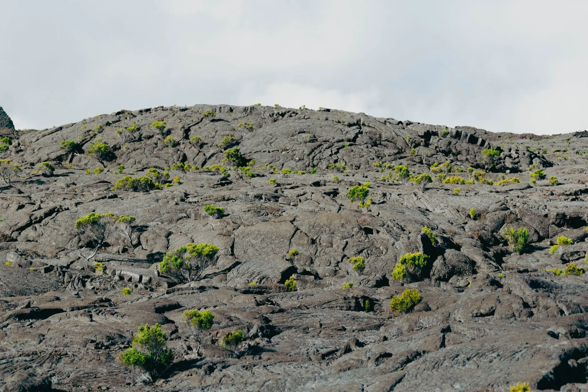 La Route des Laves : entre Saint-Pierre et Saint-Joseph