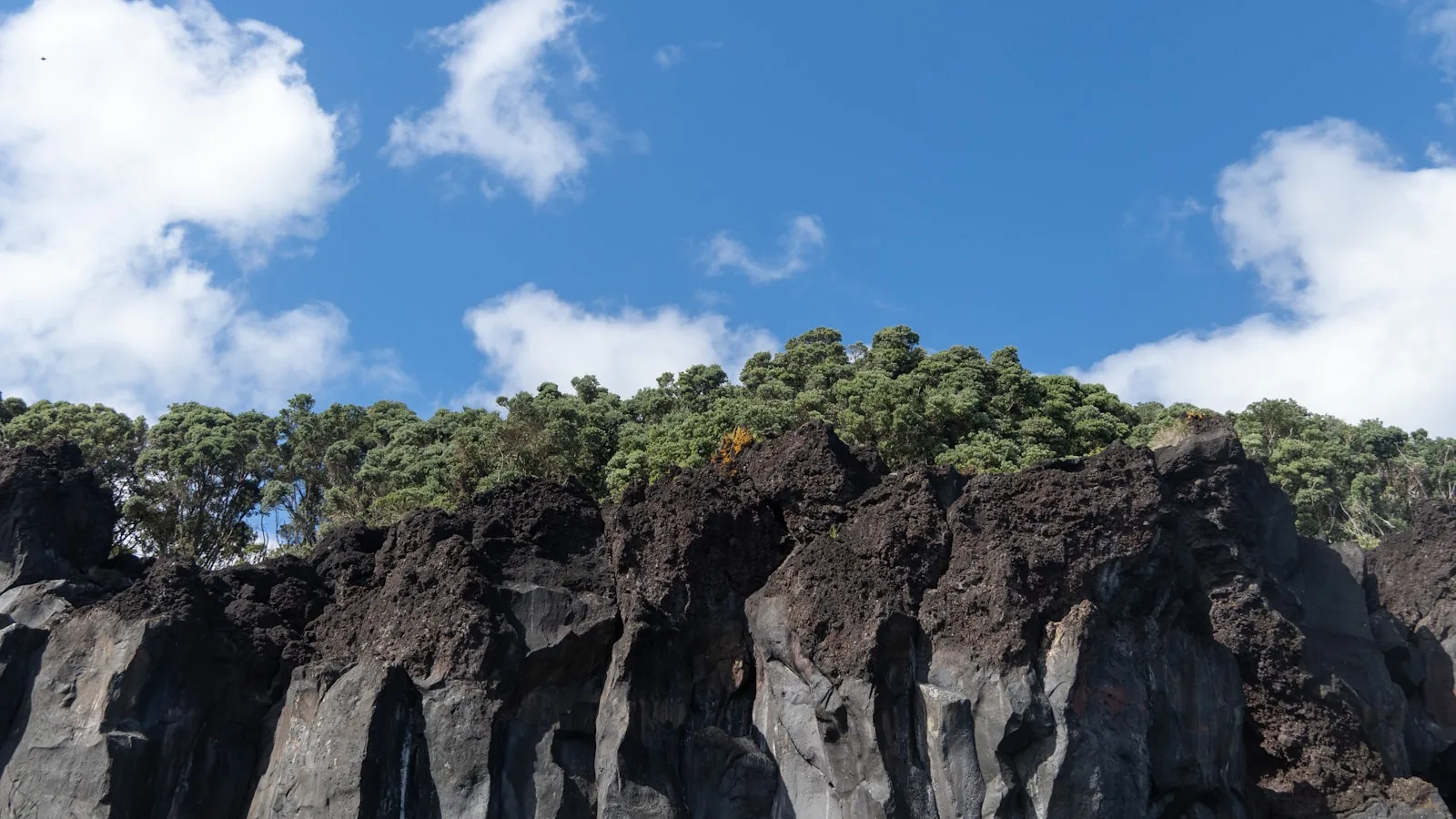 Côte volcanique du Sud Sauvage de La Réunion avec ses falaises basaltiques noires plongeant dans l'océan Indien